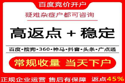 百度搜索推广实战：经典案例深度剖析
